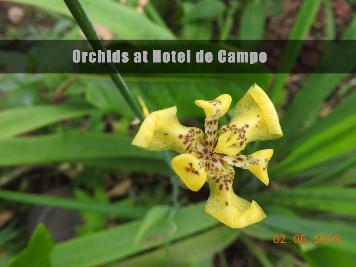 Hotel De Campo Caño Negro Екстериор снимка